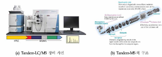 Tandem-LC/MS 장비 사진 및 Tandem M S의 구 조