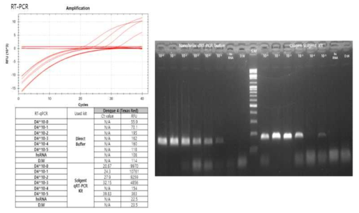 Dengue type 2의 Direct RT-PCR kit와 QIAgen RNA kit로 추출한 RT-PCR의 SYBR-Green의 검출 한계 형광 검출 결과와 Agarose Gel의 전기영동 결과