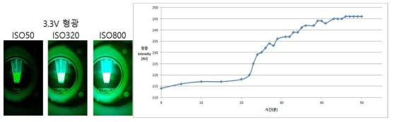 스마트폰 카메라 기반의 형광측정 사진(좌) 및 형광증폭 실시간 측정 결과(우)