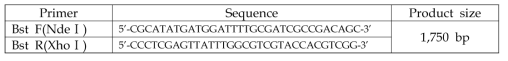 Bst DNA polymerase Primer set, product size