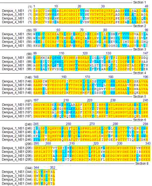 뎅기 바이러스 serotype별 NS1 sequence alignment