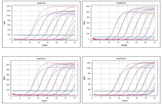 동결건조 RT-PCR 믹스 안정성 시험결과 (3, 6, 9, 12 개월)