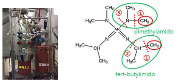 Precursor Canister와 TBDMMo Precursor