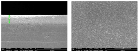 30 mTorr 공정압력의 피막의 단면과 표면형상 사진