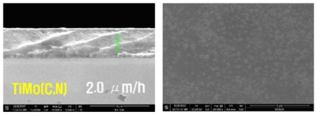 TiMo(C,N) 박막의 표면과 단면 사진