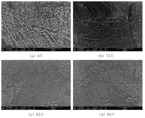 Canister 온도에 따른 표면 FE-SEM Image