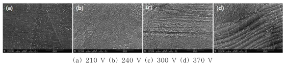 바이어스 변화에 따른 표면 FE-SEM Image