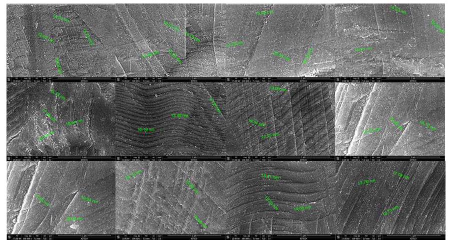 분석 위치별 FE-SEM Image