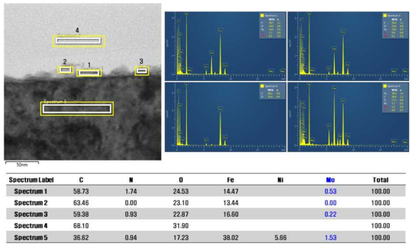 TEM Point Mapping 결과