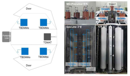 대용량 설비의 MO-Precursor와 가스라인의 구성 및 코팅 시편 위치