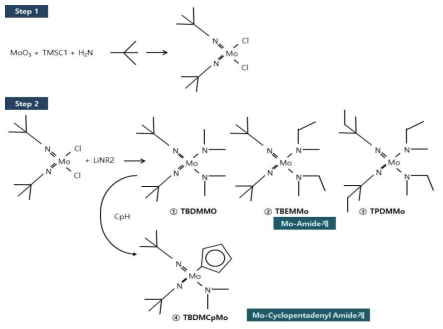 Mo-Amide, Cyclopentadienyl Amide계 리간드 합성