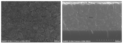 Mo(CO)6와 O2 Reactive Gas를 동시 주입하여 증착한 박막의 표면 및 단면 FE-SEM Image