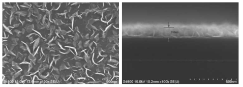 Mo(CO)6와 H2S Reactive Gas를 동시 주입하여 증착된 박막의 표면 및 단면 FE-SEM Image