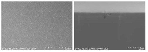 Mo(CO)6와 Ar Plasma를 이용하여 증착된 박막의 표면 및 단면 FE-SEM Image