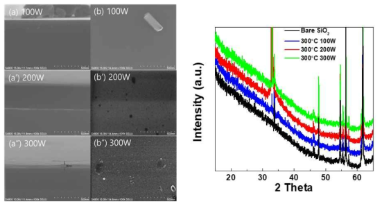 Mo(CO)6와 N2/H2 Plasma를 이용하여 PE-MOCVD 법으로 증착된 박막의 Plasma Power에 따른 표면 및 단면 FE-SEM Image 및 XRD Pattern