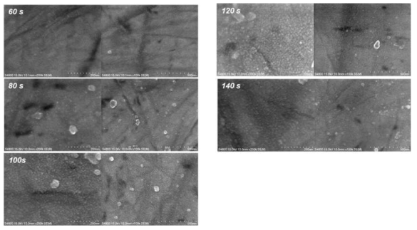 SCM415 기판상에서의 TiMo계 Binary Precursor를 이용한 증착시간에 따른 FESEM 이미지