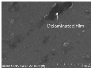 Cr(CO)6와 TBDMMo Binary MO-precursor와 N2/H2 Mixed Plasma를 이용하여 PE-MOCVD법으로 증착된 박막의 평면 FESEM Image