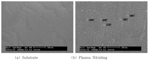 연료전지 금속 분리판 표면 FE-SEM Image