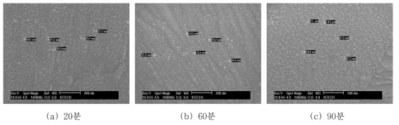 공정 시간에 따른 S-phase 표면 FE-SEM Image