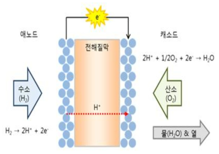 PEMFC 작동 원리