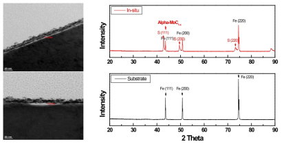 In-situ 공정으로 형성된 코팅층의 TEM, XRD 분석 결과