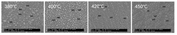 공정 온도에 따른 금속 분리판 표면 FE-SEM Image