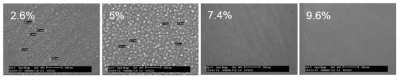 C2H2 Flow Rate에 따른 금속 분리판 표면 FE-SEM Image