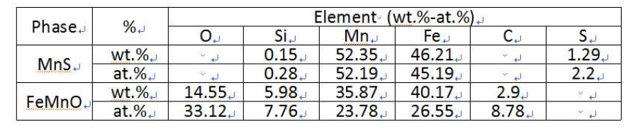 MnS 황화물과 FeMnO 산화물의 화학조성