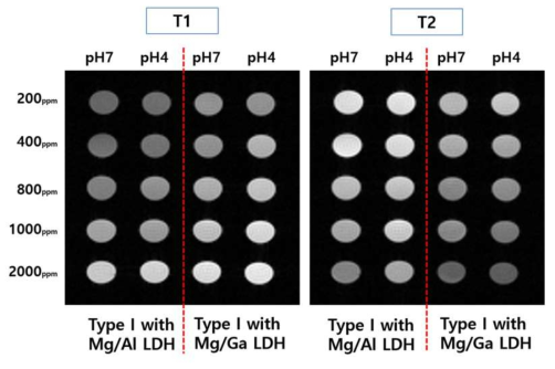 Type Ⅰ 조영제 나노 입자의 농도별 pH별 MRI 촬영 결과이며 왼쪽은 T1 relaxivity를 오른쪽은 T2 relaxivity를 각각 나타냄