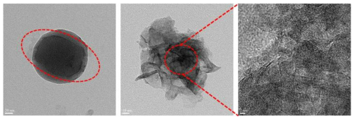 그림 8의 왼쪽 시료의 투과전자 현미경 (transmission electron microscopy, TEM) 영상