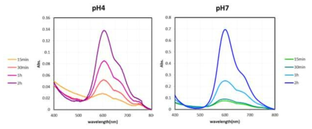 pH변화에(pH 4와 pH 7) 따른 Acian blue (Ab)의 방출 형태를 나타낸 UV-vis 분광학 분석 결과이며 이때 사용한 나노 입자는 키토산과 eudragit을 동시에 가지고 있는 것으로 키토산과 eudragit의 구성비는 1:1임. 파란색 계열의 선은 pH 7에서의 방출 형태이고 붉은 색 계열은 pH 4에서의 방출 형태이고 각 pH에서 15분, 30분, 1시간 2시간 후에 측정됨