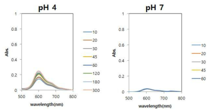 glutaldehyde(GA)에 의한 키토산의 가교결합 비율은 0.5%에서 Acian blue (Ab)의 방출 형태를 pH 4와 pH 7에서 나타낸 UV-vis 분광학 분석 결과이며 이때 사용한 나노입자는 eudragit을 배제한 것임