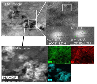 Gd@MgAl-LDH@Polymer 조영제에 대한 투과전자현미경 사진 및 화학성분 면 분석