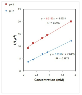 확보된 조영제 나노 입자의 pH에 따른 T2 relaxivity를 각각 그래프로 나타냄. (각 그래프의 기울기가 T2 relaxivity를 나타내며 빨간선이 pH4를, 파란선이 pH7을 나타냄)