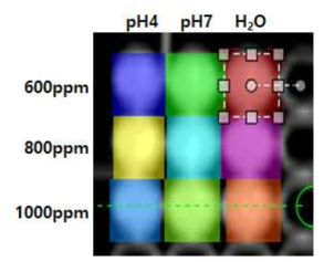 조영제 나노 입자의 농도별,pH별 CT 촬영 결과