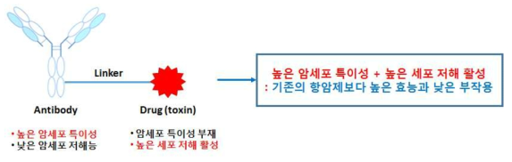 항체-약물 접합체(ADC)의 구조 모식도 및 특성