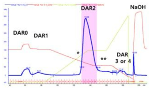 M2b-S-D2 항체 변이체에 약물을 접합한 항체-약물 접합체의 hydrophobic interaction chromatography를 이용한 정제