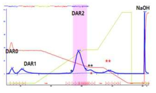 M2b-K-D2-Linker1 항체 변이체에 약물을 접합한 항체-약물 접합체의 hydrophobic interaction chromatography를 이용한 정제