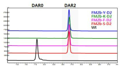 HPLC-Phenyl을 이용한 항체-약물 접합체의 DAR 순도 측정