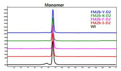 SE-HPLC를 이용한 모항체인 Fwt와 항체-약물 접합체의 monomer 순도 측정