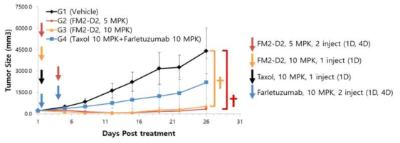 FM2-D2의 5 mg/kg, 10 mg/kg 투약과, taxol + farletuzumab의 combination 투약의 KB cell xenograft에서의 in vivo 항암 효과 비교