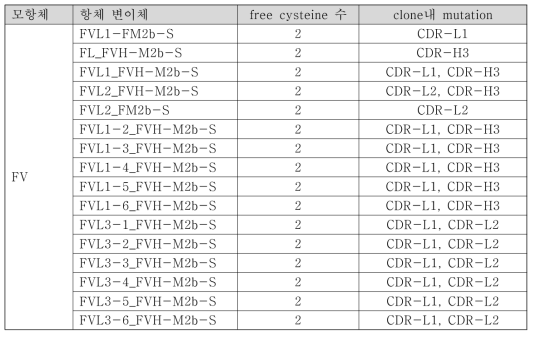 2차년도에 추가 제조한 항체 변이체