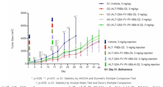 KB cell mouse xenograft를 이용한 FM2b-S-D2 (ALT-FM2b-D2), FV-M2b-S-D2 (ALT-Q5A-FV-M2b-D2), FV-PVA-M2b-S-D2 (ALT-Q5A-FV-PV-M2b-D2), FV-PVA-M2b-K-D2 (ALT-Q5A-FV-PV-M2b-K-D2)의 in vivo efficacy 실험. 5 mpk의 투약용량으로 1일, 15일 2회 투약