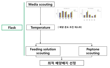 플라스크 배양을 통한 최적의 배양 조건 선별 과정 모식도