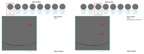 CellMetric CLD imaging 장비를 이용한 monoclonality 확인