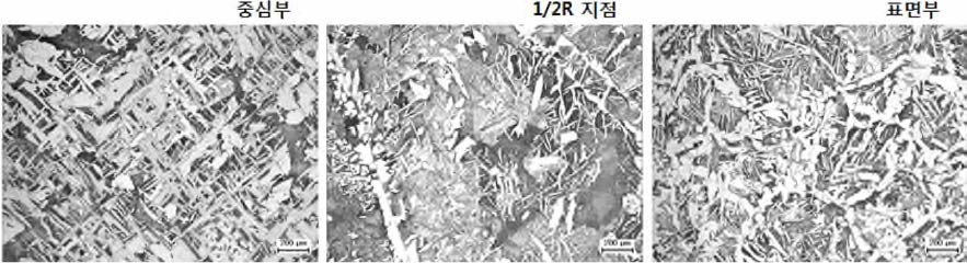 SA266Gr.2의 미세조직 관찰 결과