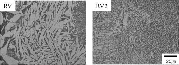 RV 및 RV2 합금의 불림처리 후 최종 미세조직
