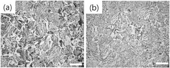 Optical micrographs showing final microstructure obtained after normalizing heat treatment of (a) Ref. and (b) RVNb alloy steels