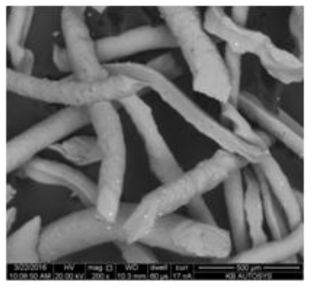 RSP(rapid solidification process)에 의한 Al 단섬유 형상