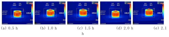 Temperature measurement results– Coil assembly